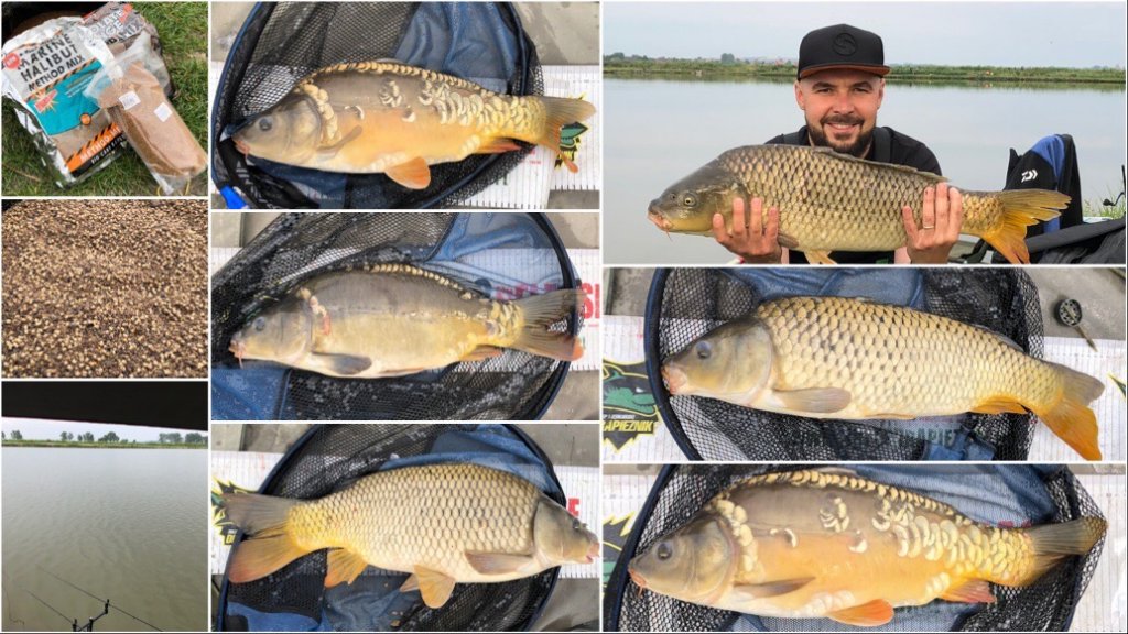 Ostoja Górecka - 13.07.2019