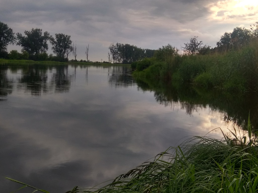 Warta Czechów