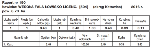 Raport 190