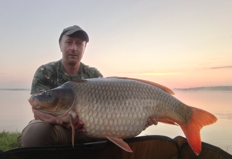 Karp