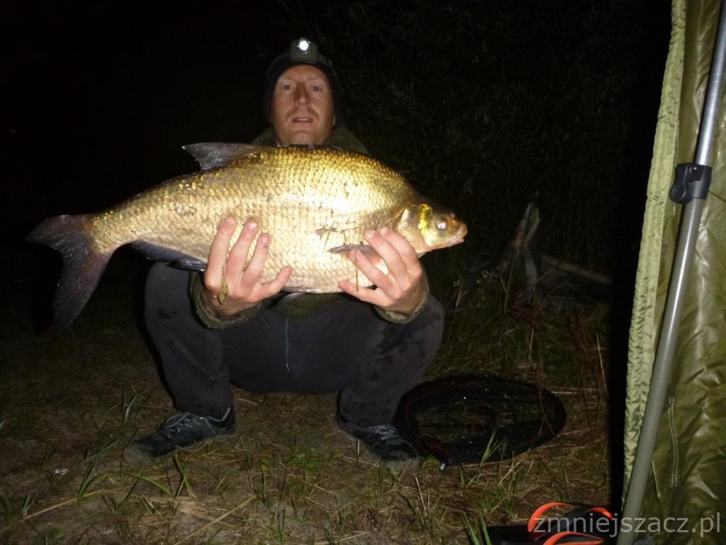 Leszcz 65 cm 3,67 kg Dzierżno Duże 13.08 2018