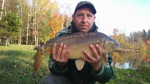 Karp 3