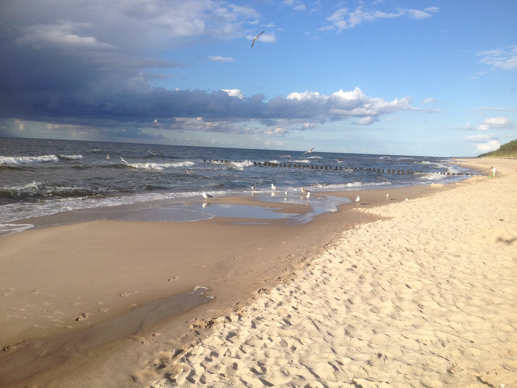 Polskie dzikie plaże