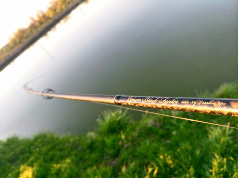 Delphin Opium Black feeder