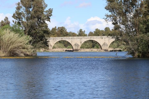 Guadiana