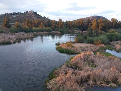 Guadiana