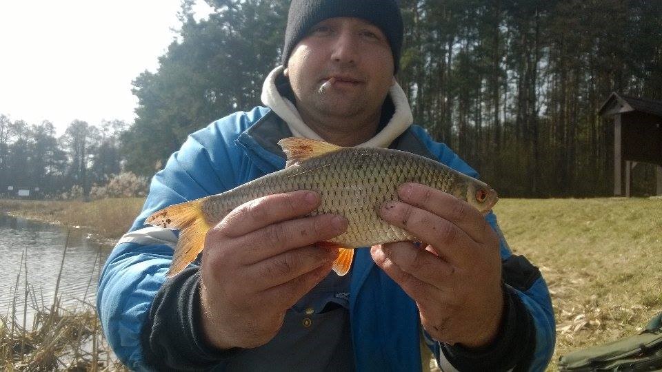 Płoć - 2