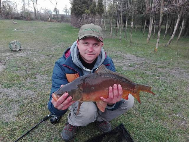 Karp 53 cm 2,5 kg