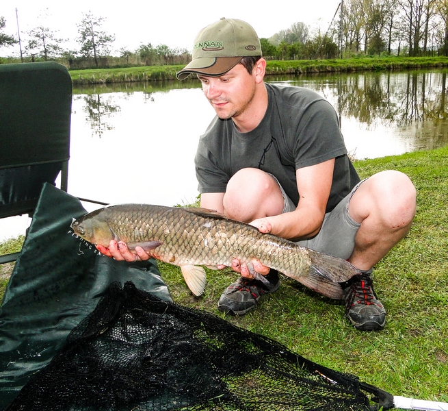 Amur 4 kg