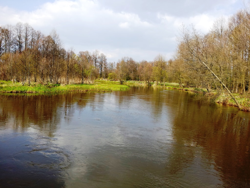 "Kleniowa bankówka"