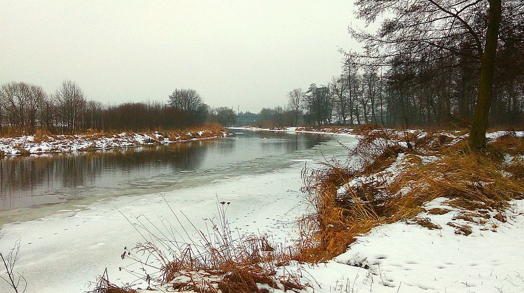 Prosna zimą