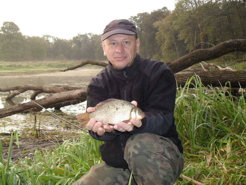Starorzecze Bugu