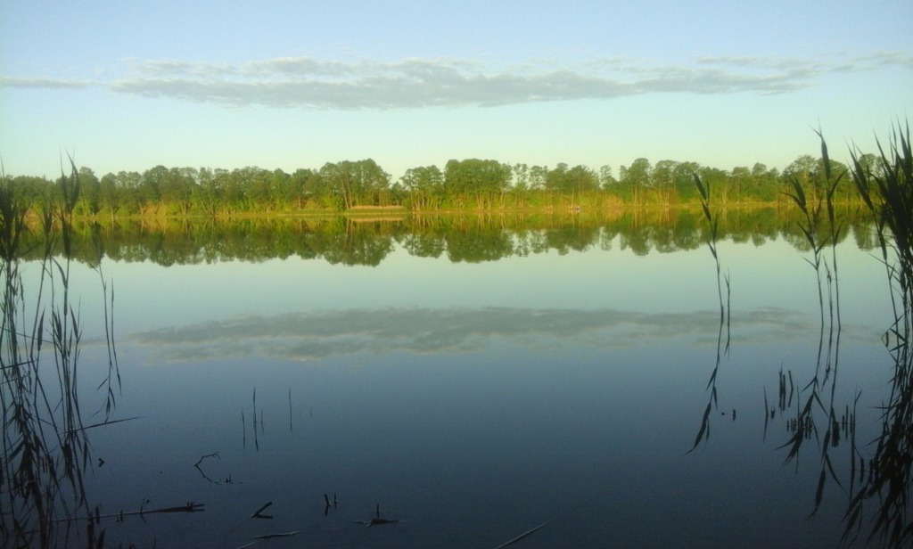 Jezioro Ciechomickie
