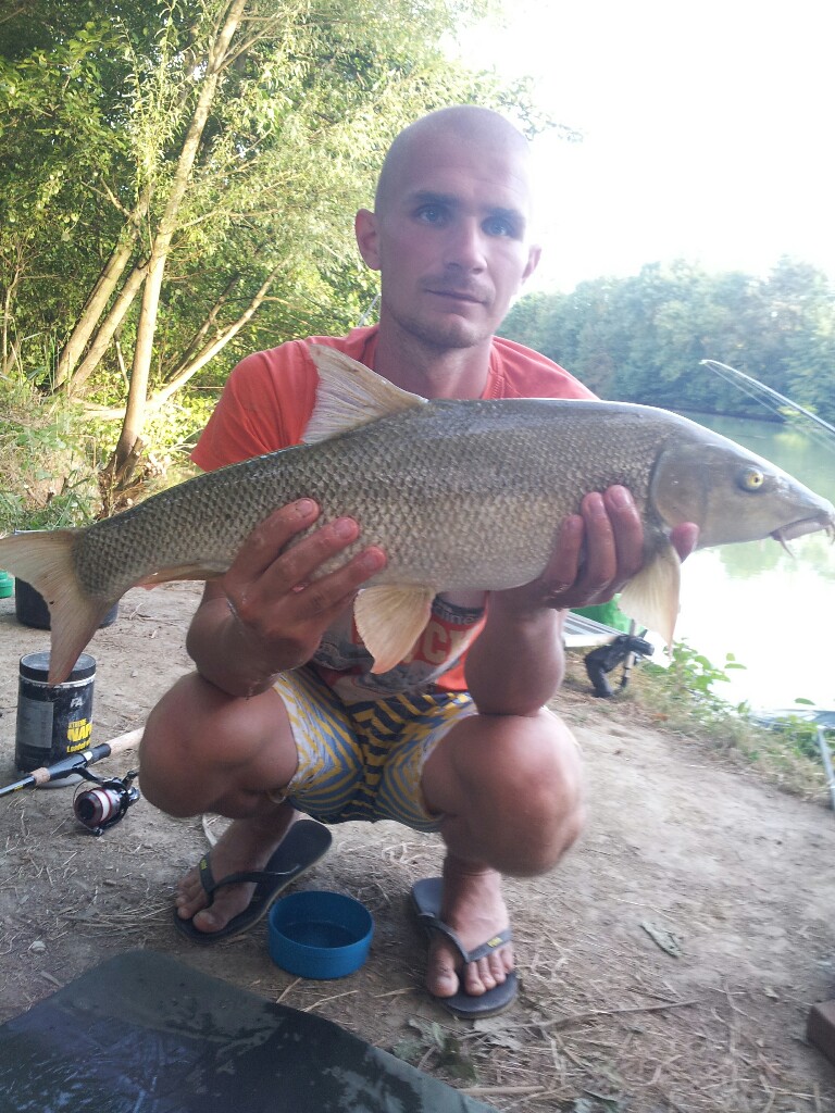 Brzanka