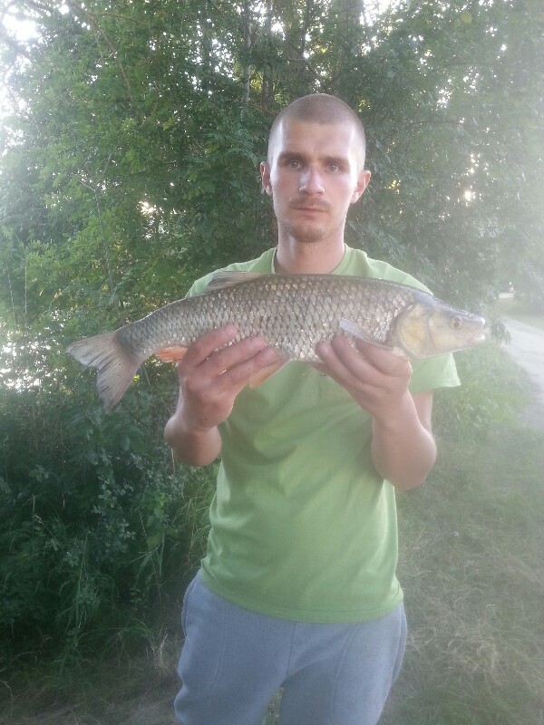 kleń