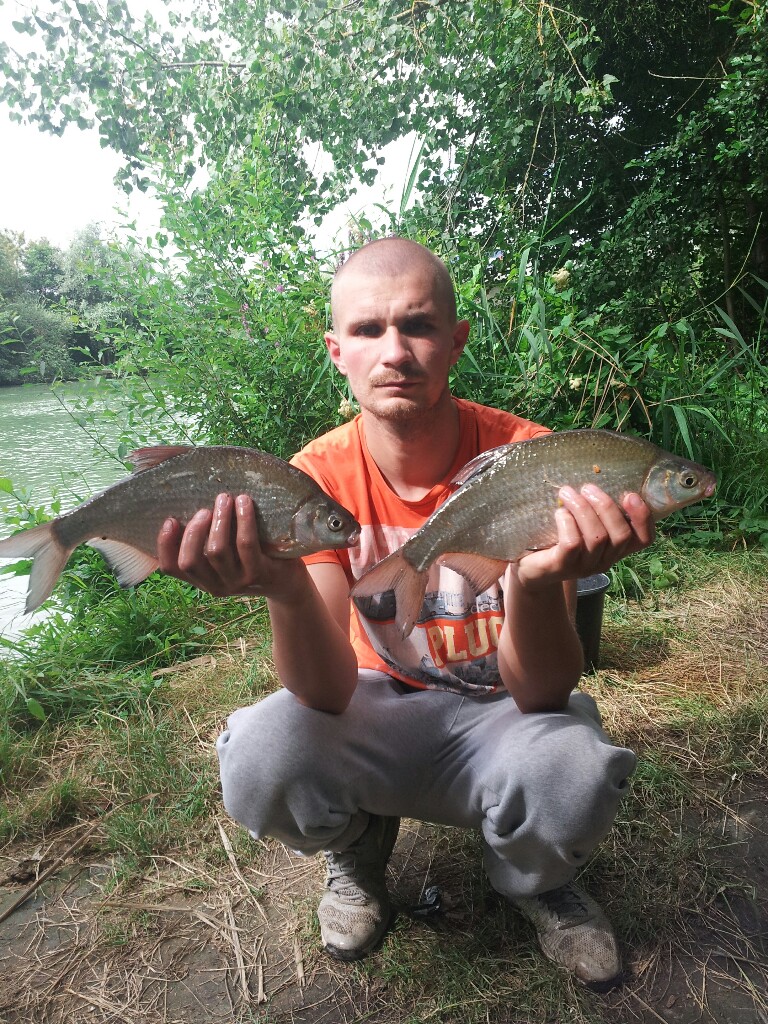 38 cm