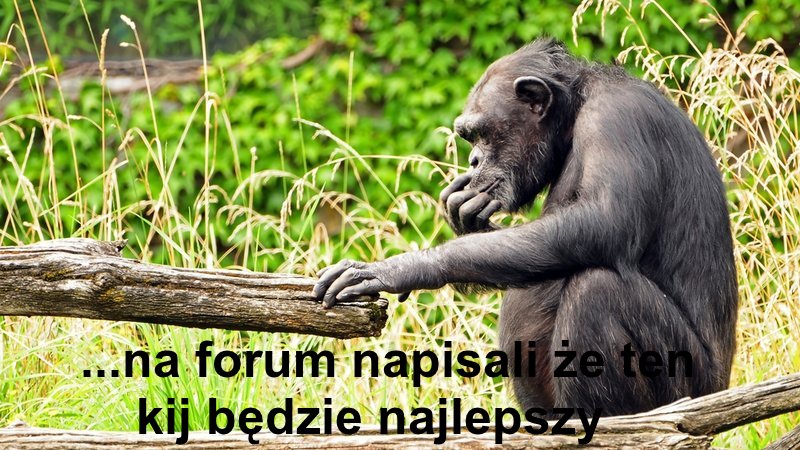 malpanarybach6