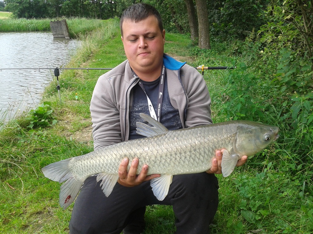 Amur 82 cm