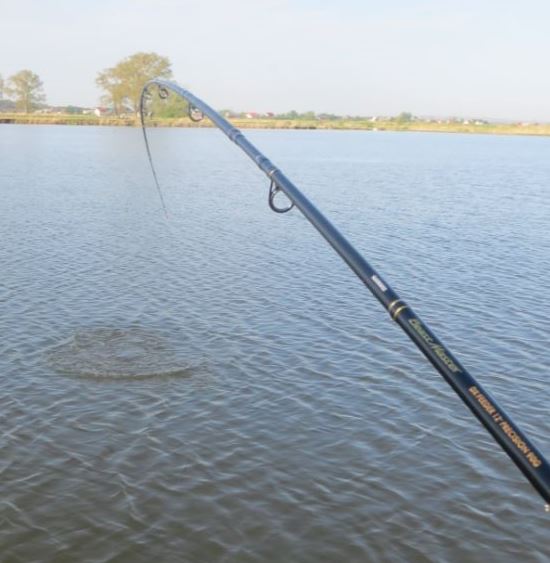 Shimano BeastMaster DX Precision 90 g.