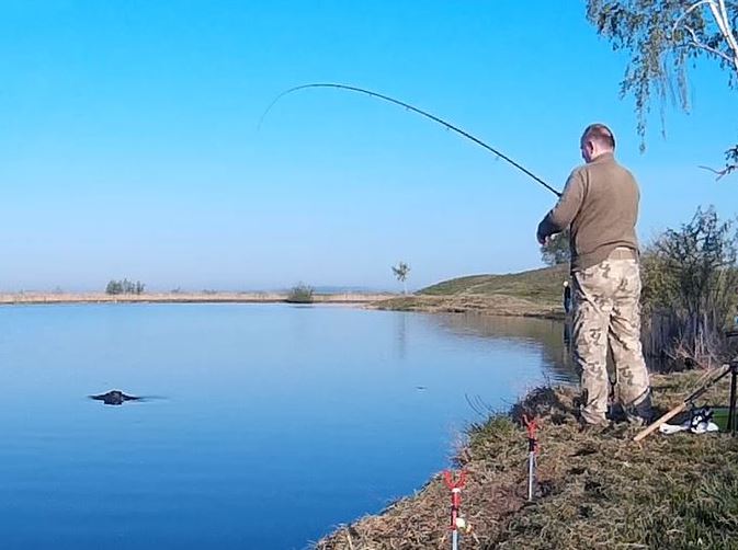 Shimano BeastMaster DX Precision 90 g.