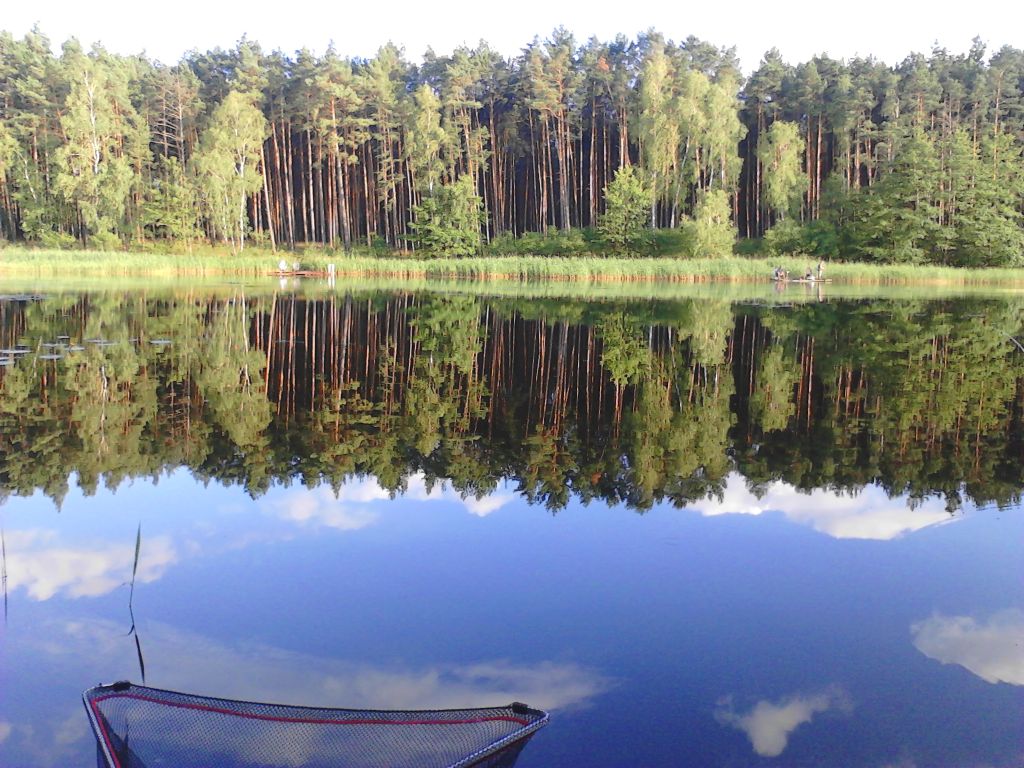 A podbierak suchy