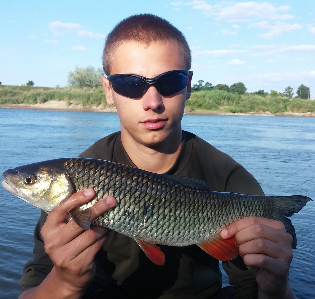 Kleń