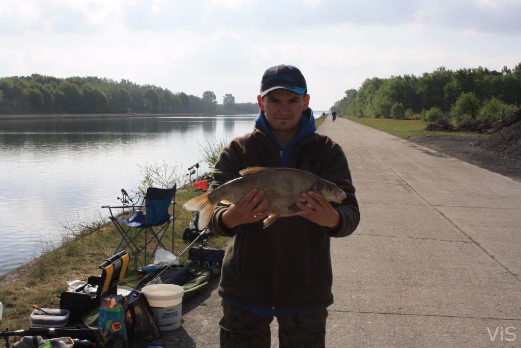 Leszczyk z Kanału Alberta