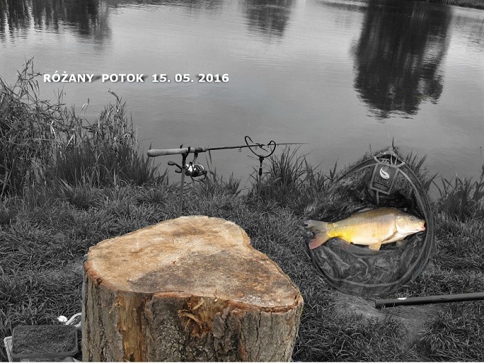 Różany Potok