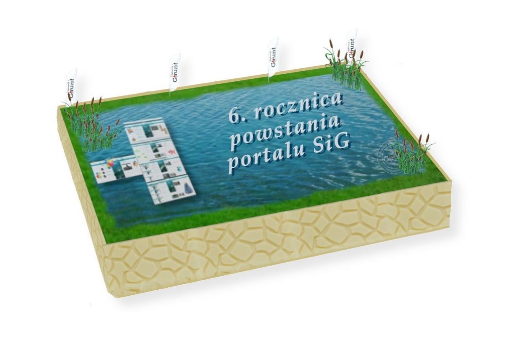 6. rocznica SiG b (tort)