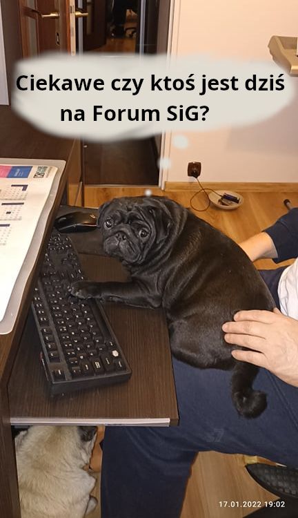Lucek i Heniu