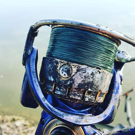 Kołowrotek Daiwa 
