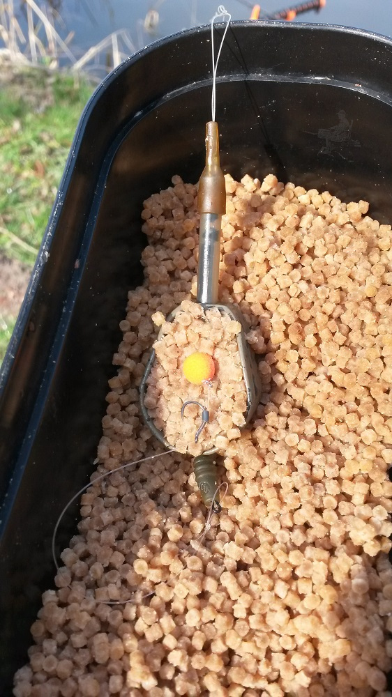 Pellet Skretting Coarse Fish 