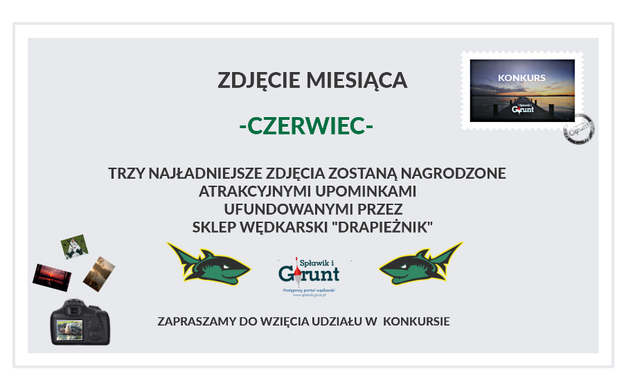 Konkurs czerwiec