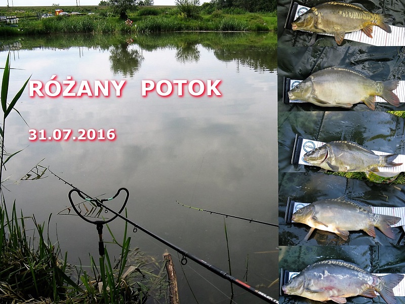 Różany Potok