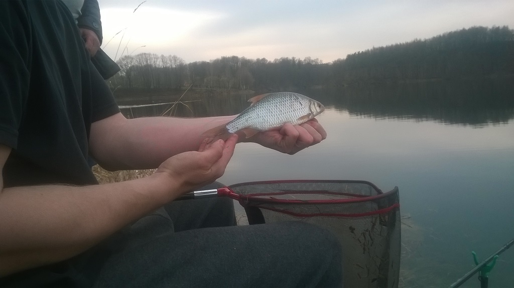 Płoć2