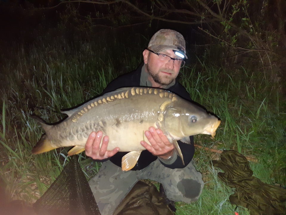 Karp 8,5 kg