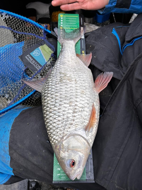 40,5cm