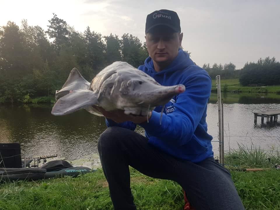 Jesiotr