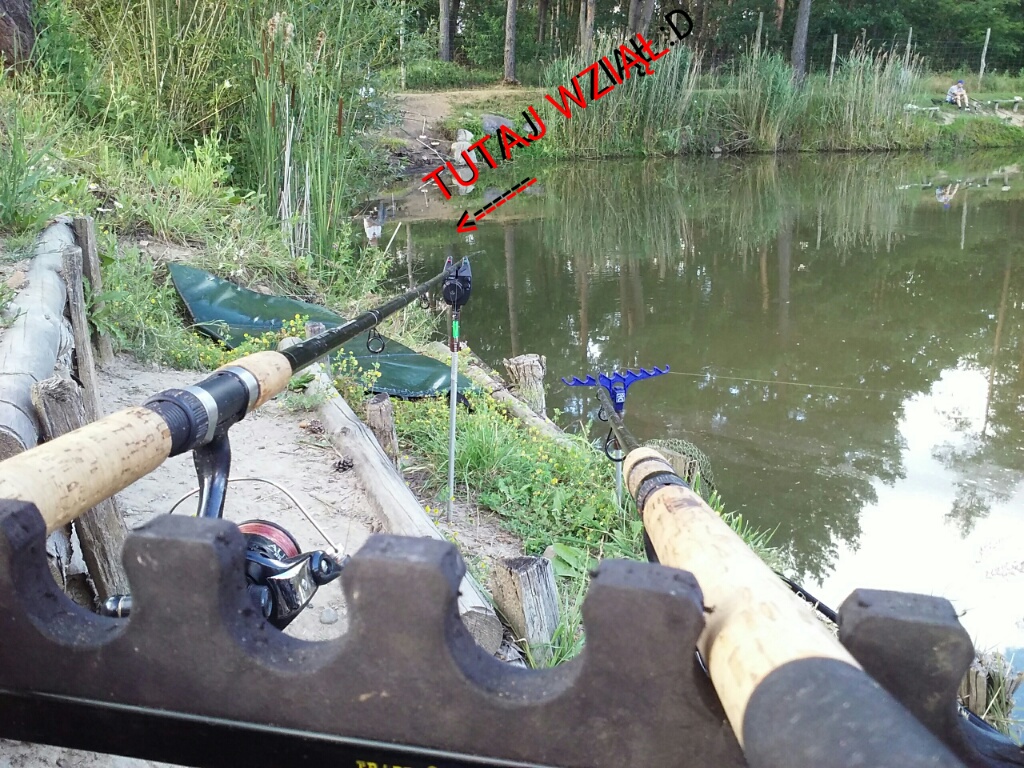 Madagaskar