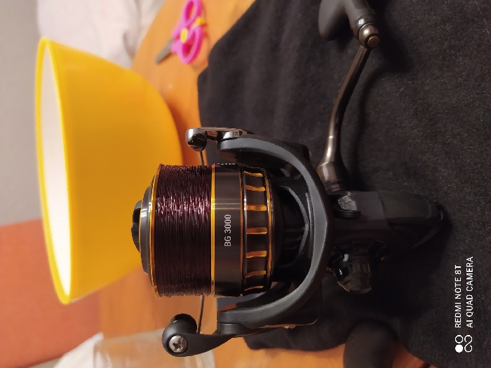 Daiwa bg 3000
