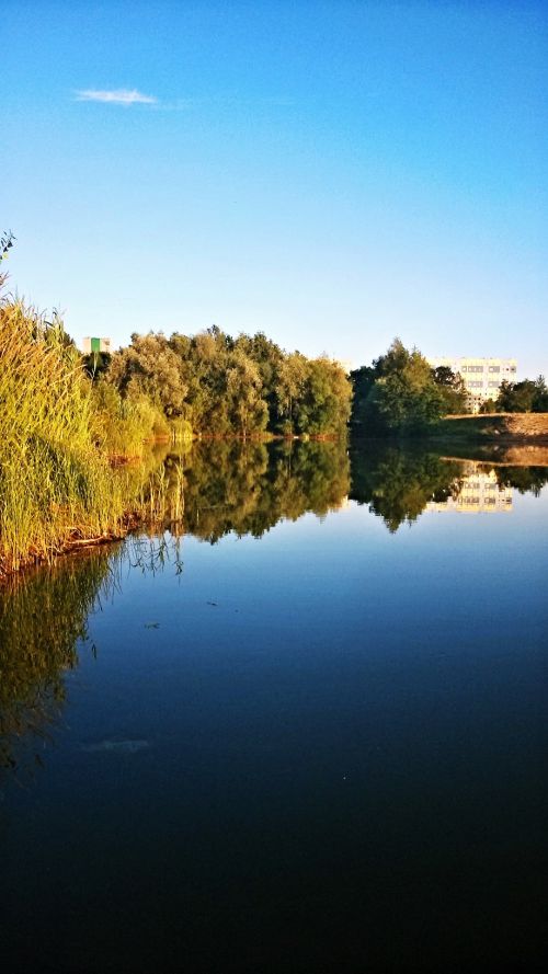 Zalane