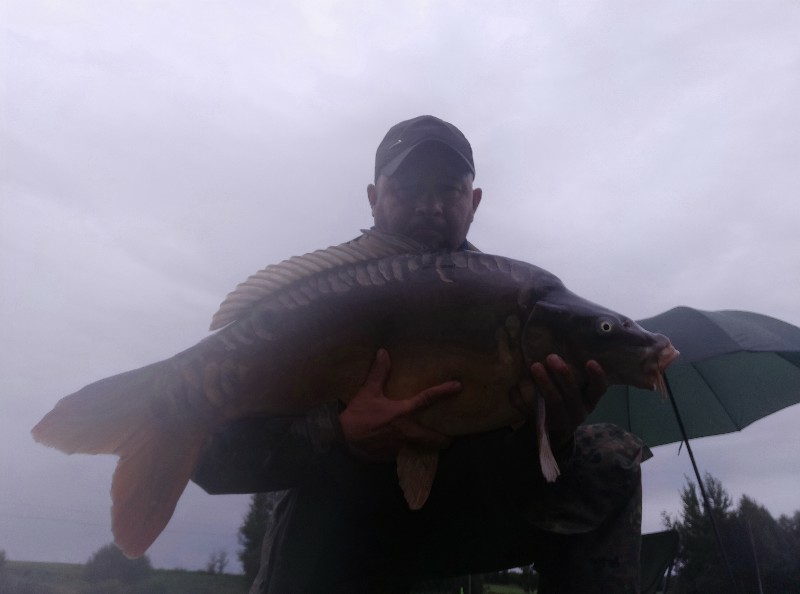 Karp