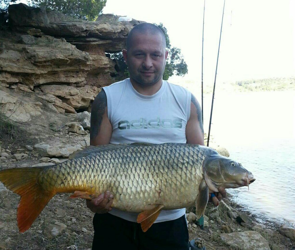 Karp z ebro