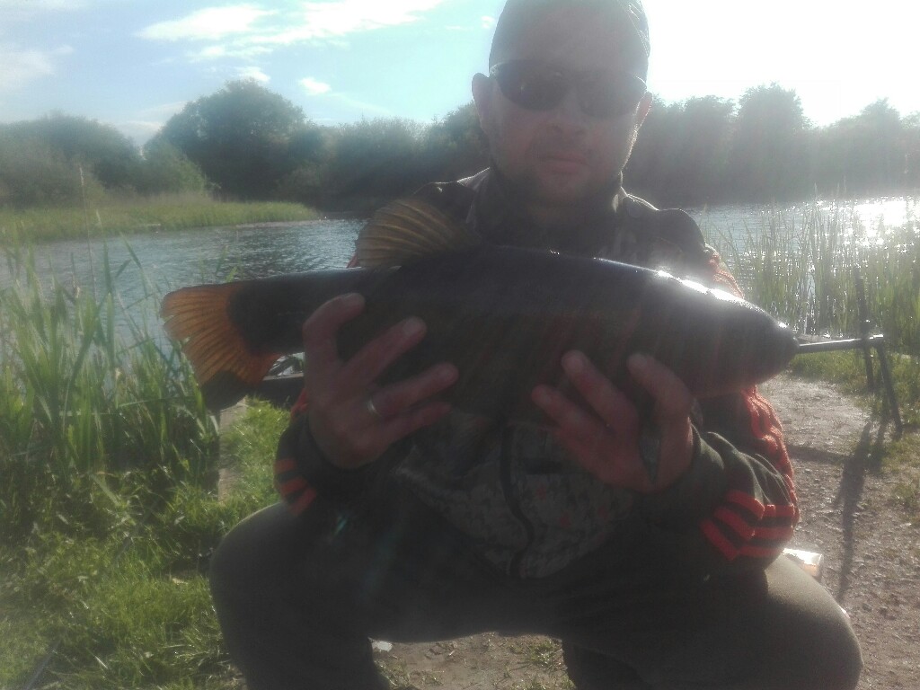 Linek