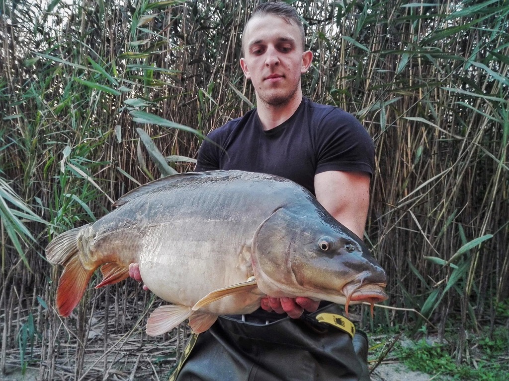 Karp 