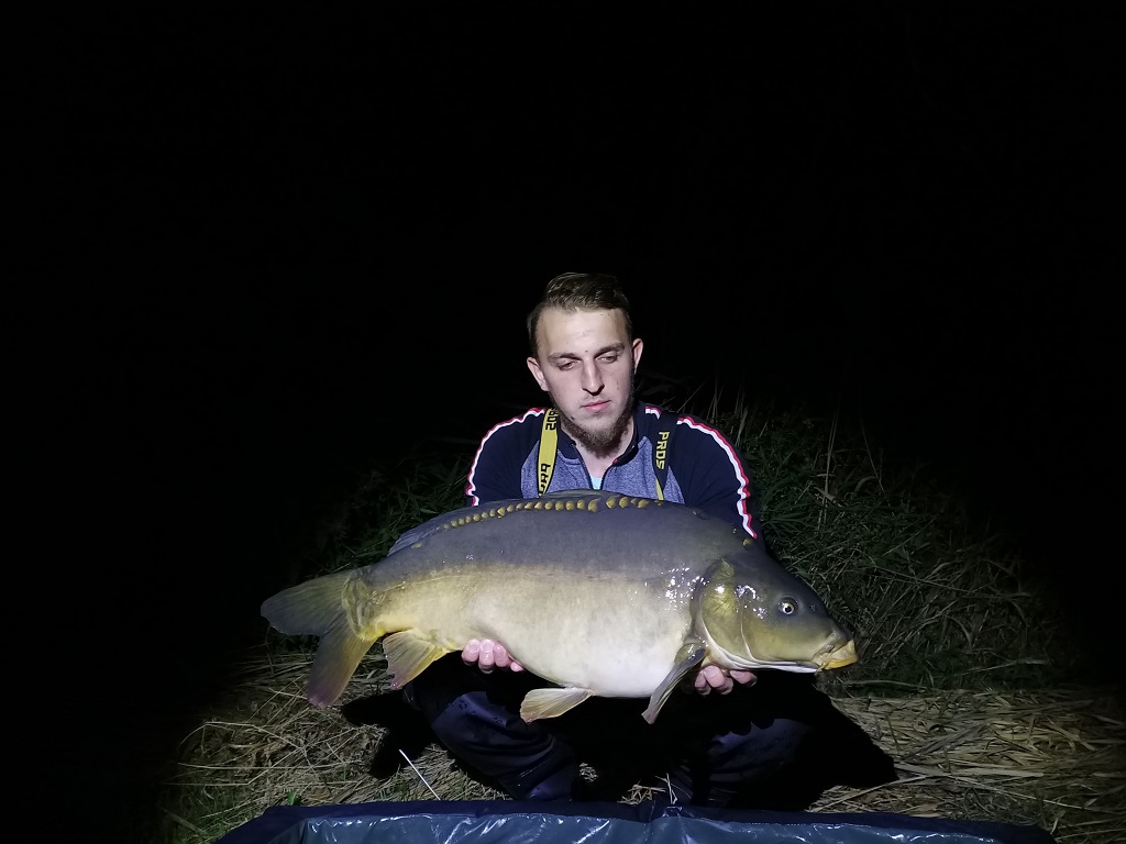 Karp