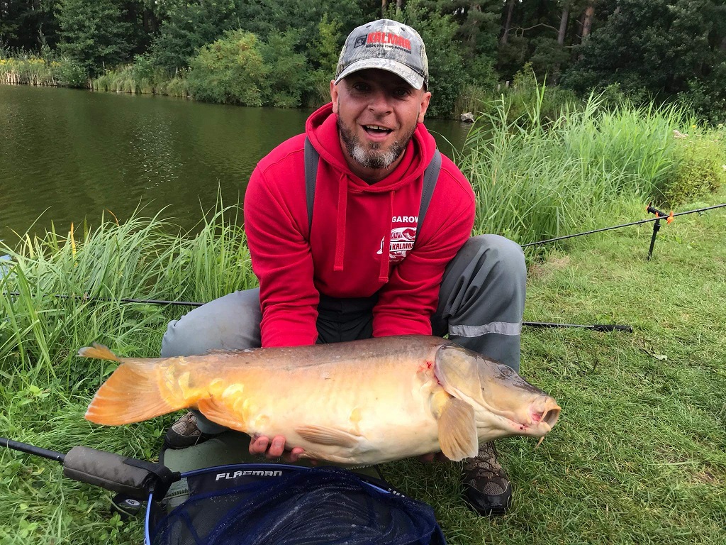 11,3 kg