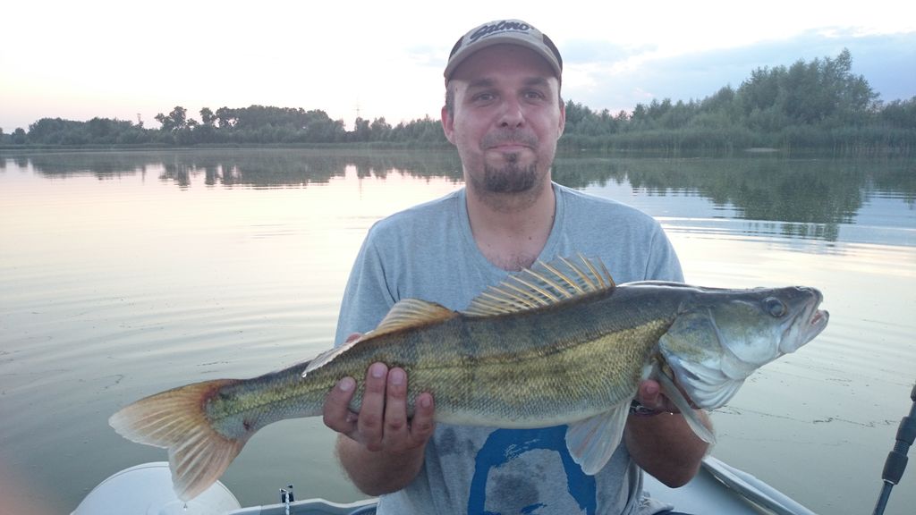 Sandacz 76 cm