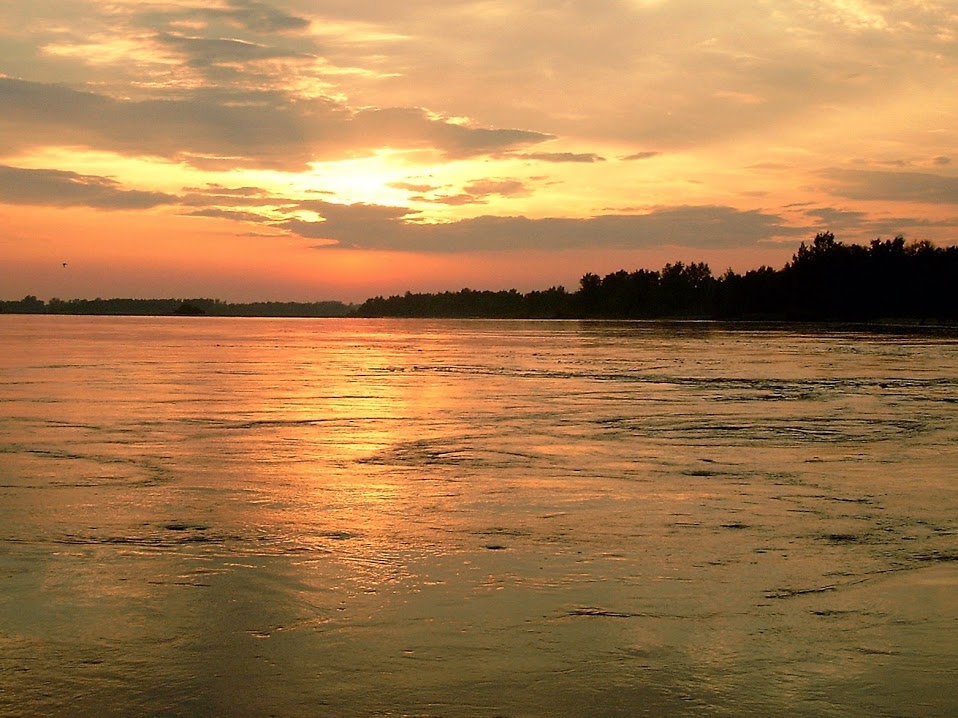Wisła