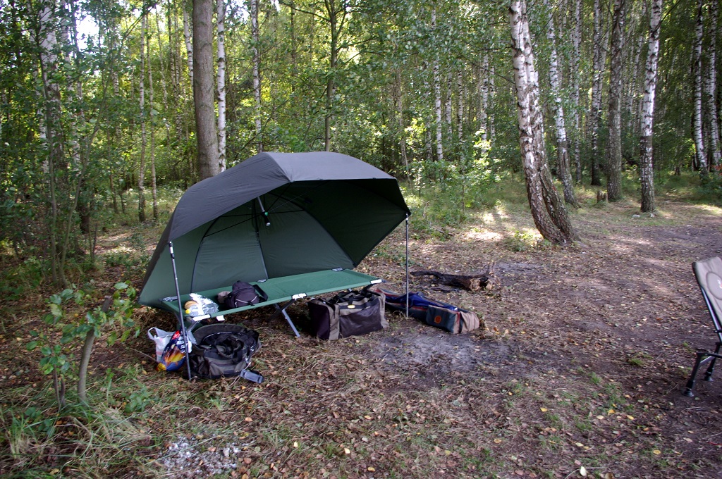 Brolly